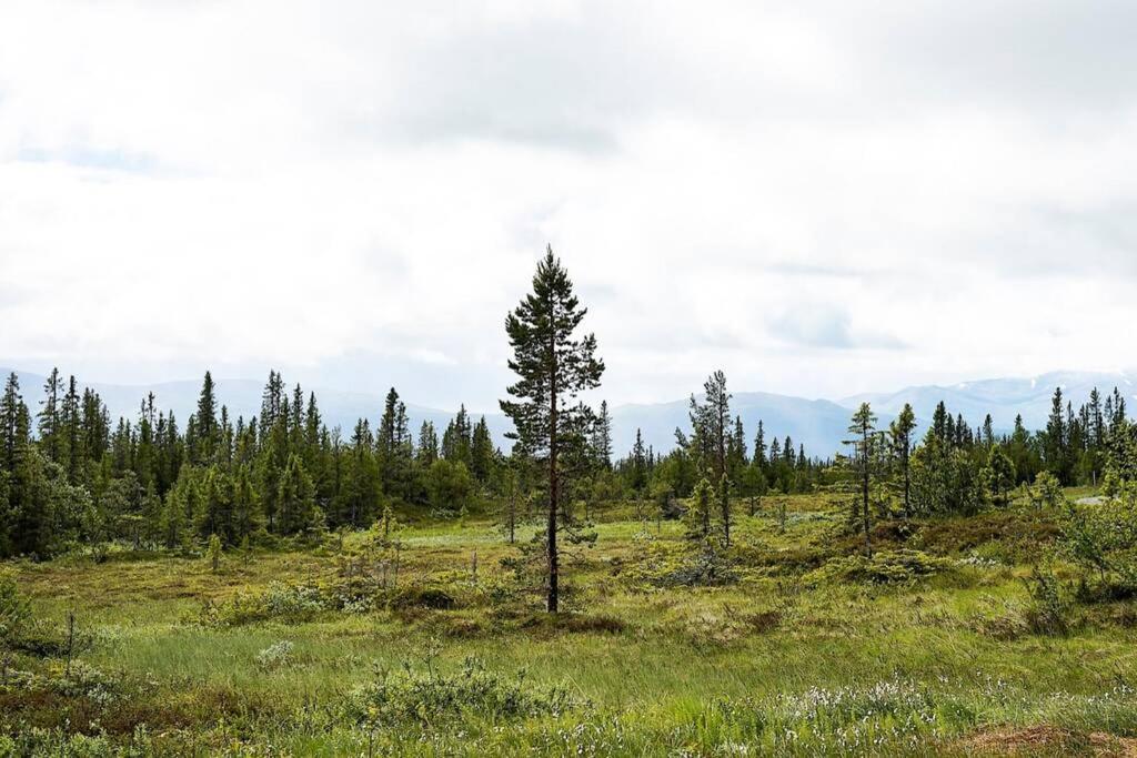 Log Cabin In Nature - Situated In Trillevallen- Are Undersåker Extérieur photo